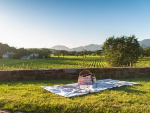 Great Places to Picnic in Napa Valley P